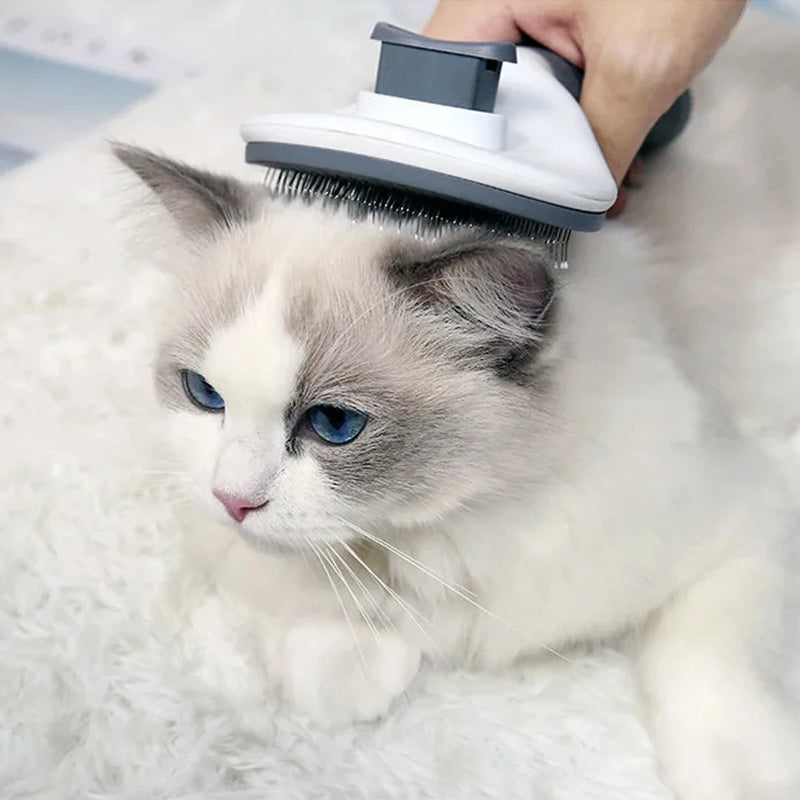 Brosse anti-poils auto-nettoyante pour animaux - Pet & Cie - Chat