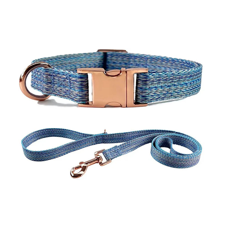 Collier et laisse personnalisés gris pour chien – Offre spéciale