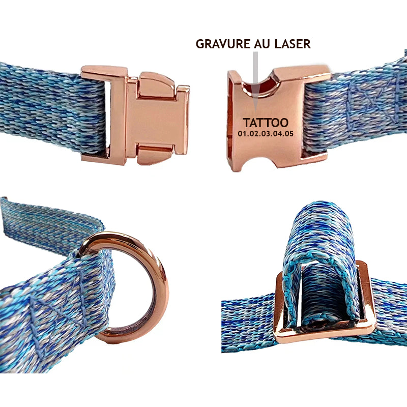 Plaque gravée avec nom et numéro de téléphone sur collier chien sécurisé