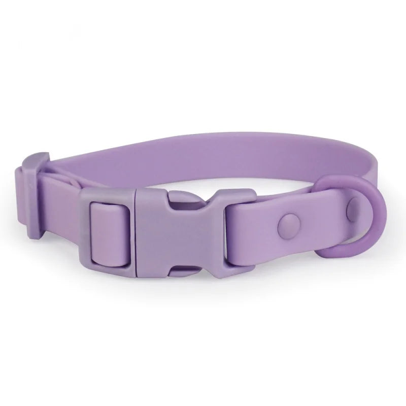Collier en PVC imperméable pour chien, léger et ajustable Mauve