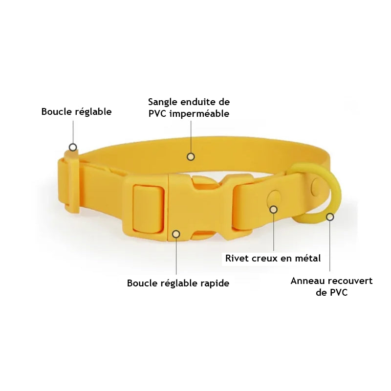 Collier en PVC imperméable pour chien, léger et ajustable