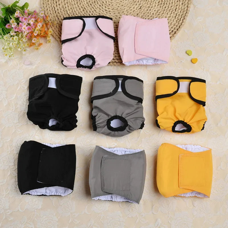 Culotte physiologique lavable pour chien et chat - Protection hygiénique - Pet & Cie