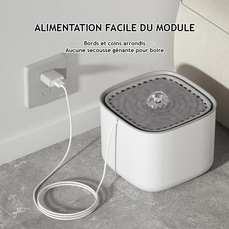 Fontaine à eau silencieuse pour chat - Recharge USB