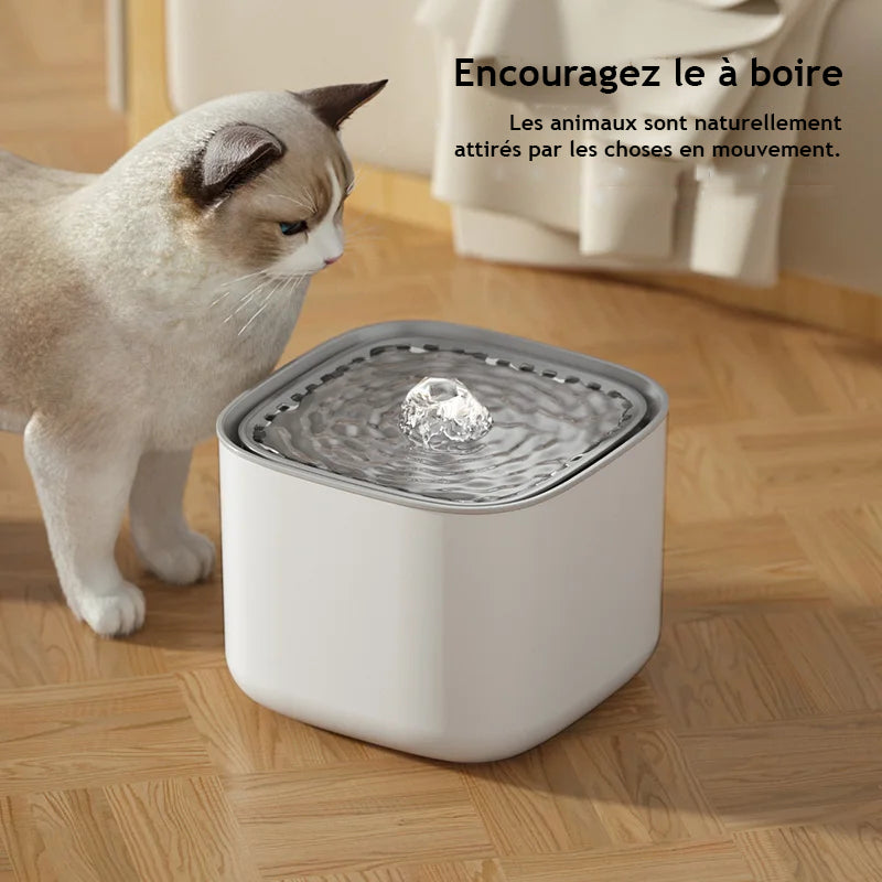 Fontaine à eau automatique 3L pour chat - Filtration continue