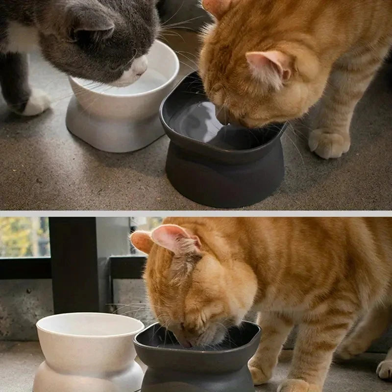 Gamelle large & stable pour chat - Convient pour croquettes & eau