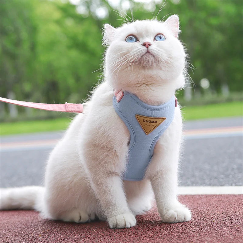 Harnais de sécurité ajustable pour chat et chien, ultra-léger et confortable, idéal pour la promenade