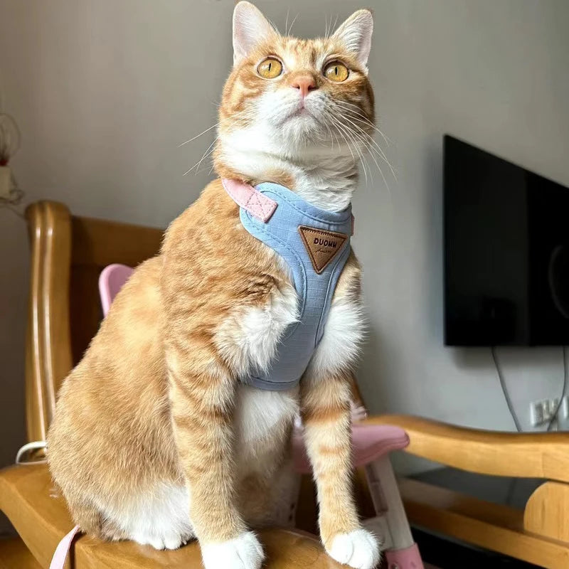 Harnais de sécurité ajustable pour chat et chien, ultra-léger et confortable, idéal pour la promenade