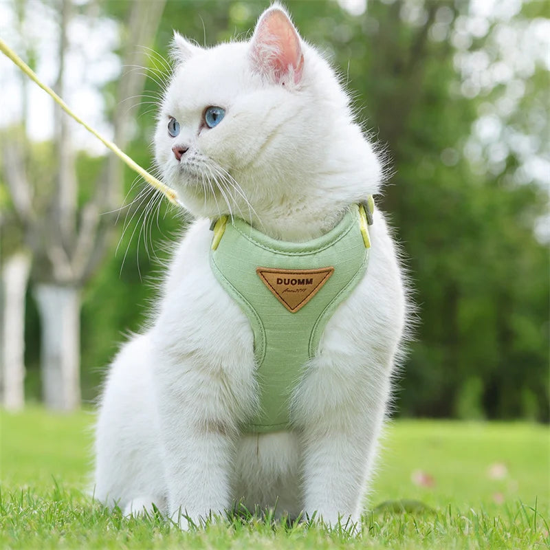 Harnais de sécurité ajustable pour chat et chien, ultra-léger et confortable, idéal pour la promenade
