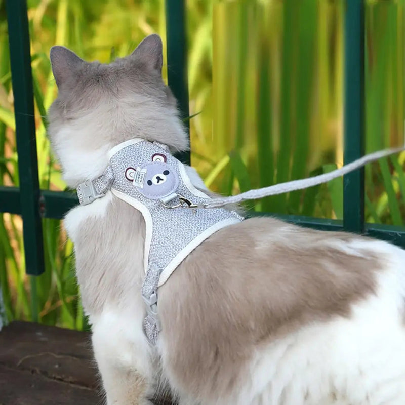 Harnais ultra-doux nounours 🧸 pour promenade sécurisée avec chat ou petit chien