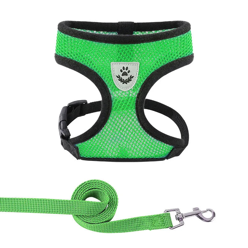 Harnais pour chien et chat disponible en plusieurs couleurs : bleu, noir, rouge, vert, rose, orange