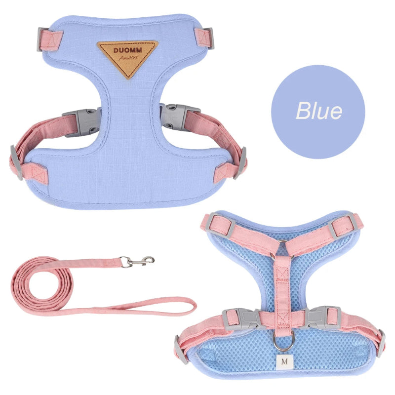 Harnais en nylon pour chat et petit chien, disponible en vert, bleu, jaune et beige