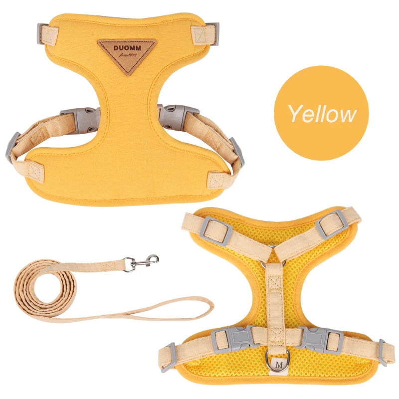 Harnais en nylon pour chat et petit chien, disponible en vert, bleu, jaune et beige