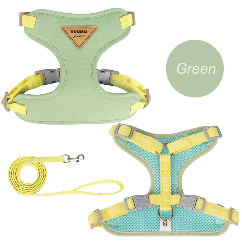Harnais en nylon pour chat et petit chien, disponible en vert, bleu, jaune et beige