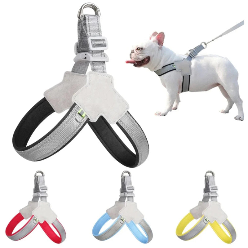 Harnais ultra-léger avec rembourrage pour promenade nocturne sécurisée