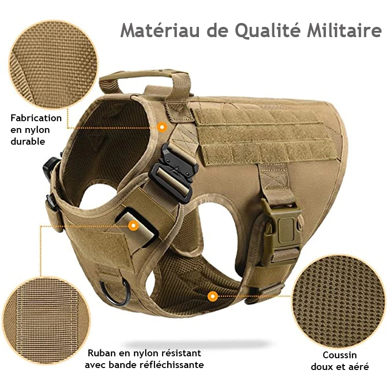 Harnais avec boucles métalliques renforcées et système d’attache sécurisé