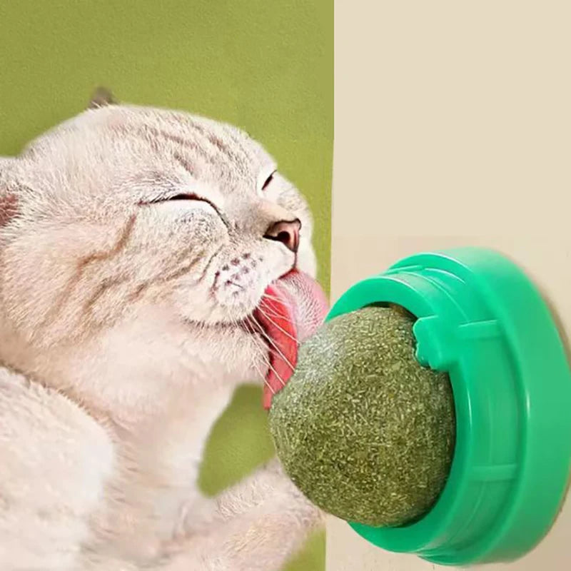 Jouet interactif pour chat - Balle murale infusée au catnip