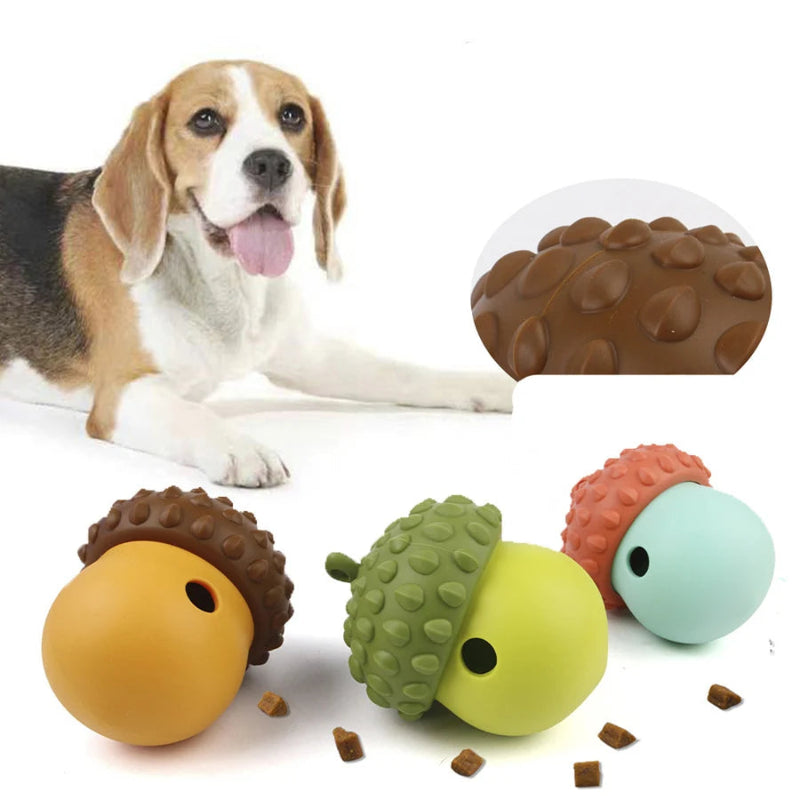 Jouet interactif pour chien - Balle distributrice de croquettes et soin dentaire