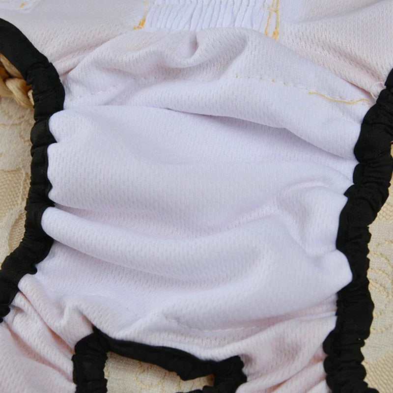 Protection menstruelle et incontinence pour chien et chat - Pet & Cie