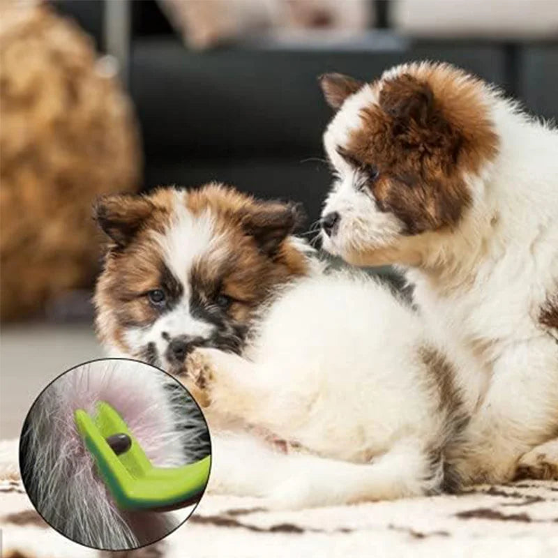 Set de tire-tiques en plastique robuste pour chiens et chats - Pet & Cie