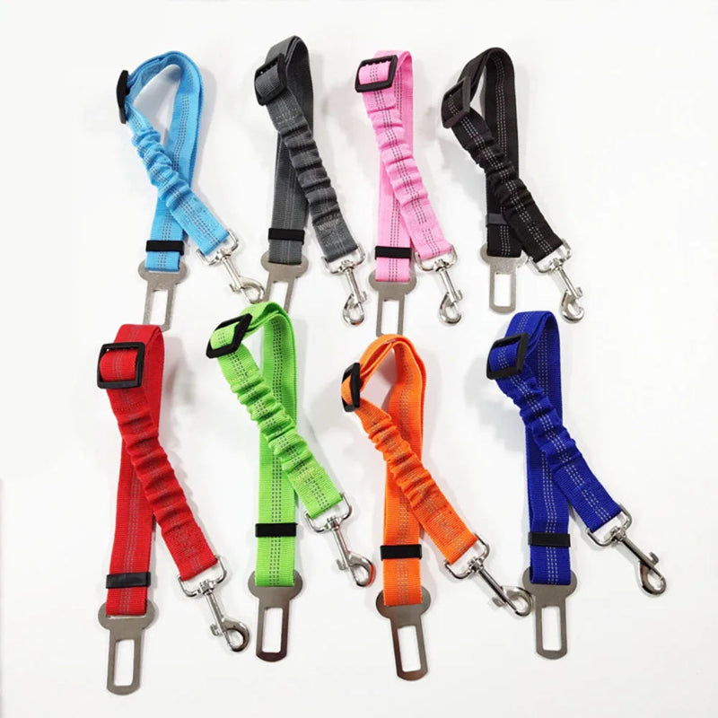 Sangle de sécurité pour chien - Réfléchissante et résistante - Pet & Cie