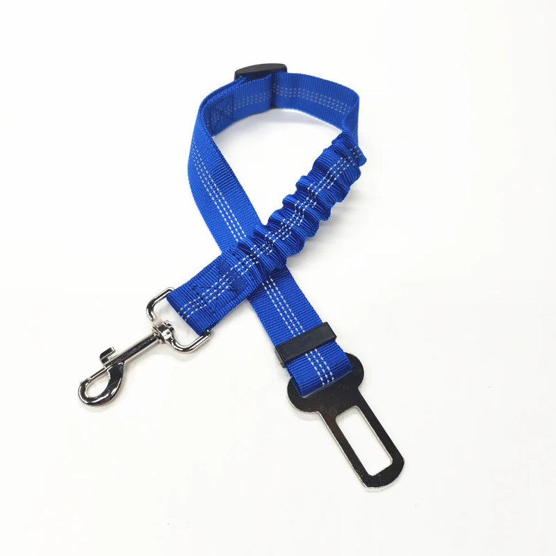 Ceinture de sécurité élastique pour chien - Réglable et anti-chocs - Pet & Cie - Bleu