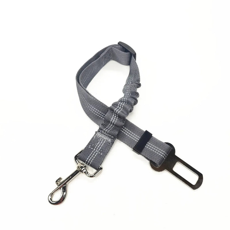 Ceinture de sécurité élastique pour chien - Réglable et anti-chocs - Pet & Cie - Gris