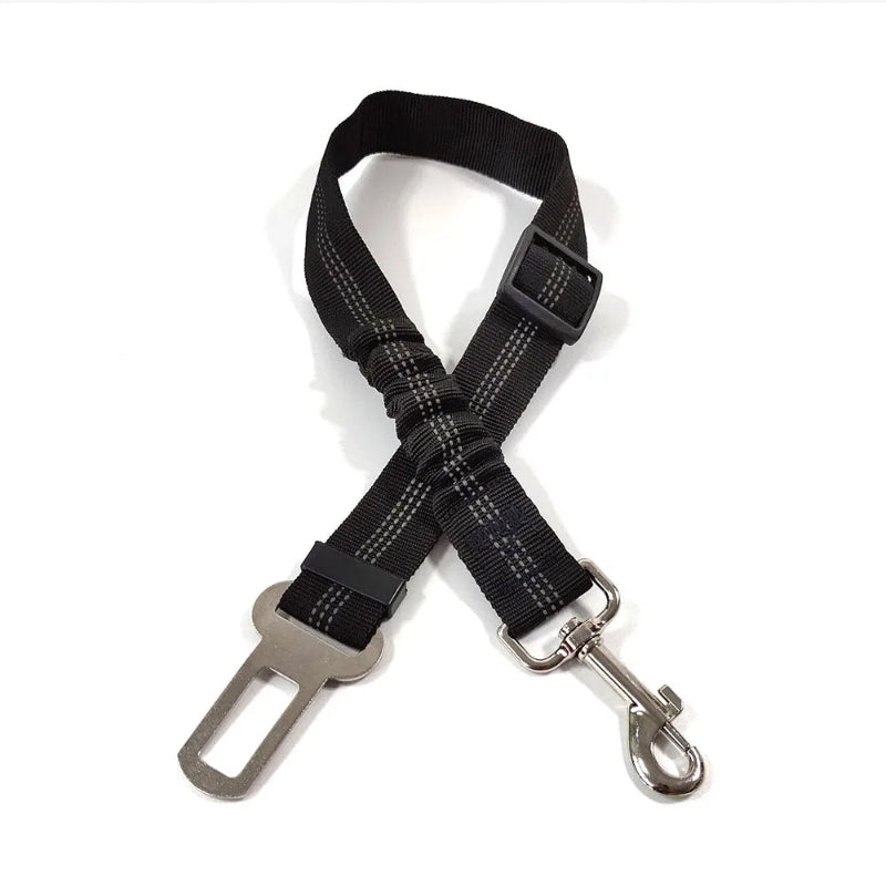 Ceinture de sécurité élastique pour chien - Réglable et anti-chocs - Pet & Cie - Noir