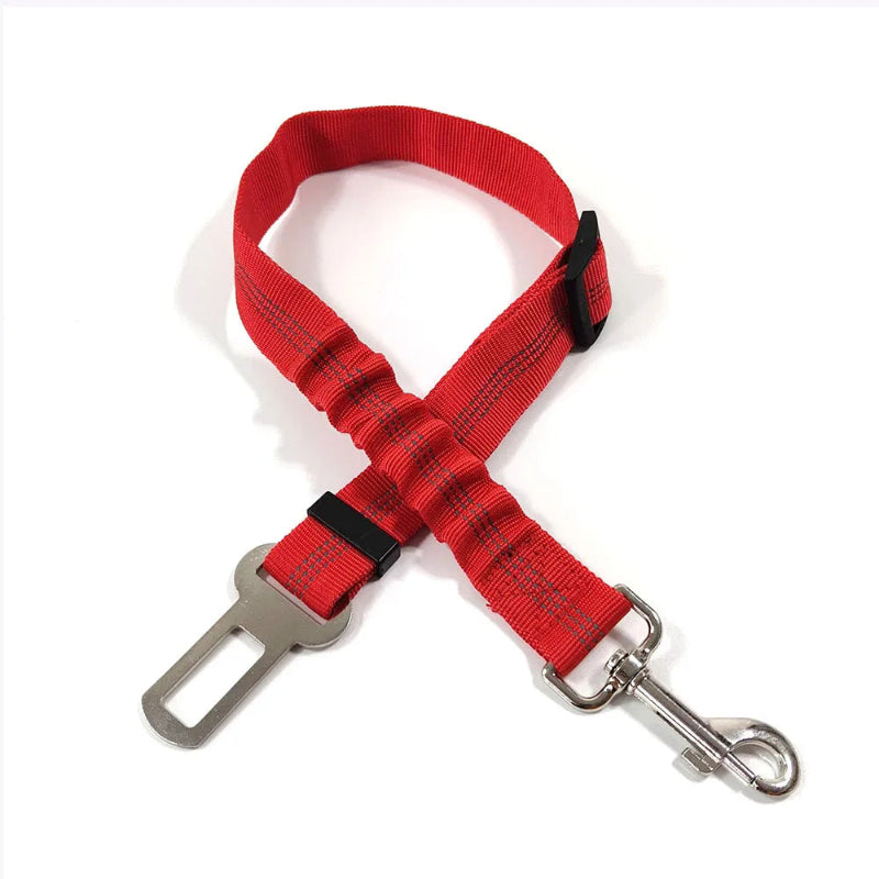 Ceinture de sécurité élastique pour chien - Réglable et anti-chocs - Pet & Cie - Rouge