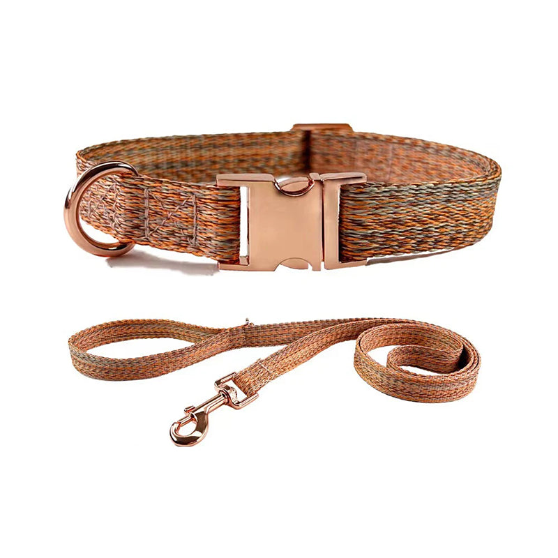 Collier et laisse personnalisés gris pour chien – Offre spéciale