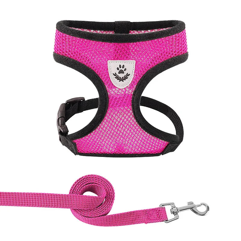 Harnais pour chien et chat disponible en plusieurs couleurs : bleu, noir, rouge, vert, rose, orange