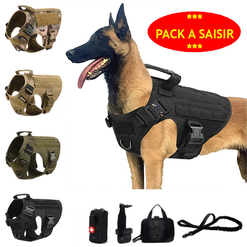 Harnais militaire tactique ajustable pour chien avec MOLLE et boucles renforcées